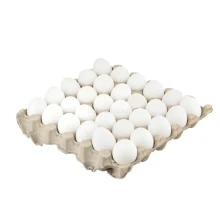 تخم مرغ مرواردید زرین شمال 20عددی