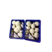 قارچ خوراکی دکمه ای 400 گرمی نامیسان