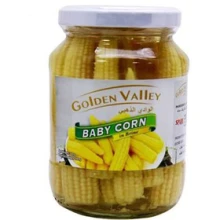 بی بی کورن در آب نمکی آمریکن ولی